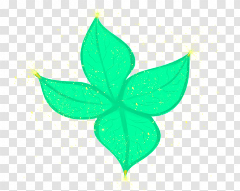 Leaf - Green - Plant Transparent PNG