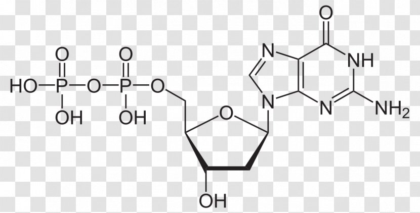 Adenosine Triphosphate Guanosine Monophosphate Molecule Chemistry - Watercolor - Energy Transparent PNG
