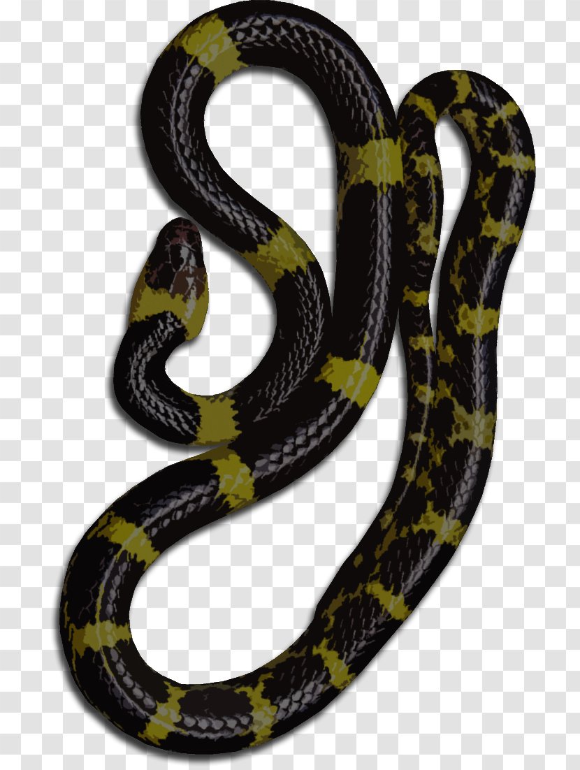 Kingsnakes Ophidiophobia Boa Constrictor Colubrid Snakes - Black And Yellow Warning Stripes Transparent PNG