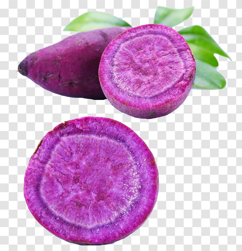 Sweet Potato Purple Nutrition - Violet Transparent PNG