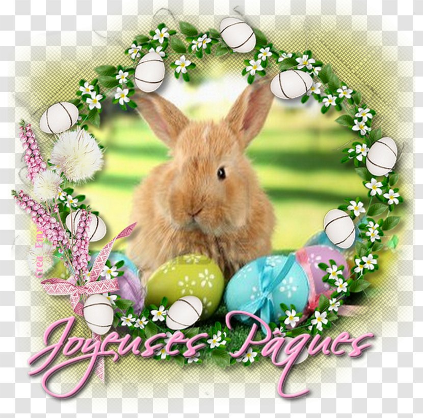 Easter Bunny Domestic Rabbit Party Passover - Tree Transparent PNG