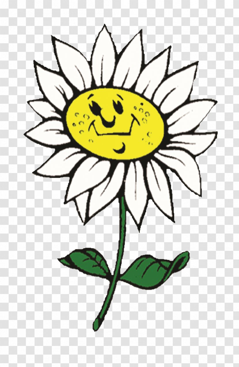 Cut Flowers Floral Design Sunflowers Plant Stem Clip Art - Artwork - Persil Transparent PNG