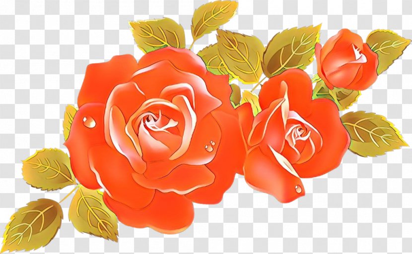 Drawing Of Family - Artificial Flower - Perennial Plant Begonia Transparent PNG