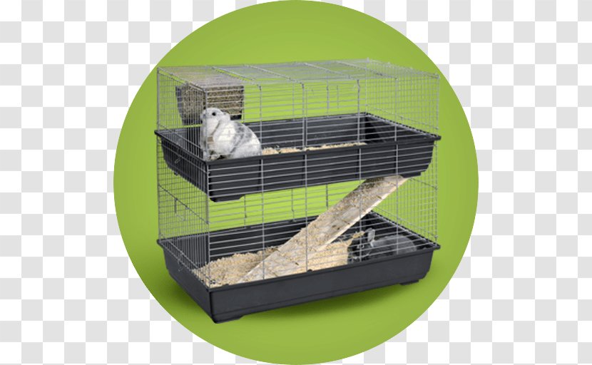 Cage Guinea Pig Cat Tree Rodent - Frame - Double Transparent PNG