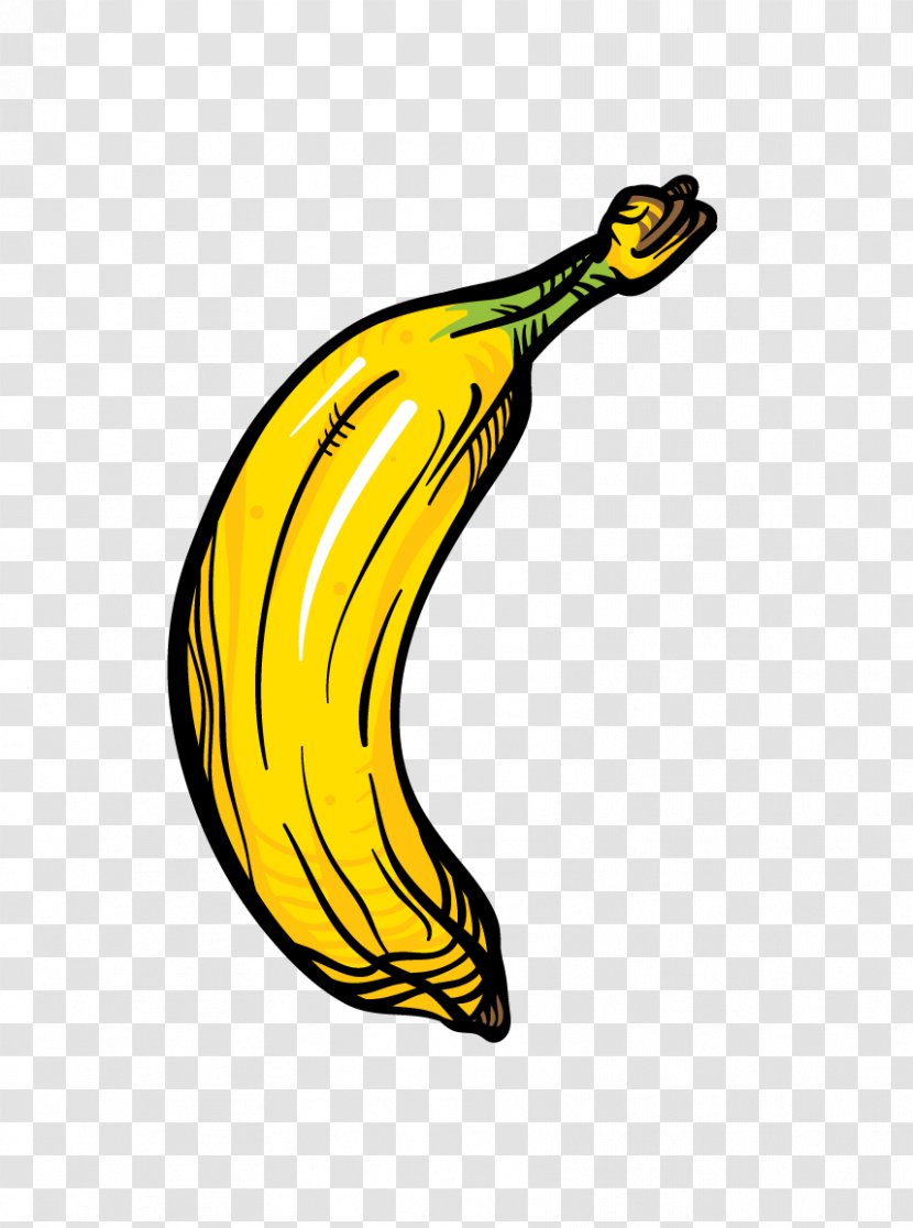 Banana Fruit Icon - Auglis - Hand-painted Transparent PNG