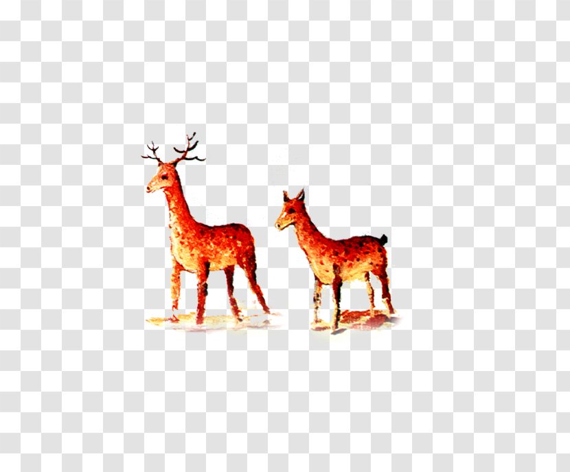 Reindeer Giraffe Antler Text Illustration - Deer Transparent PNG