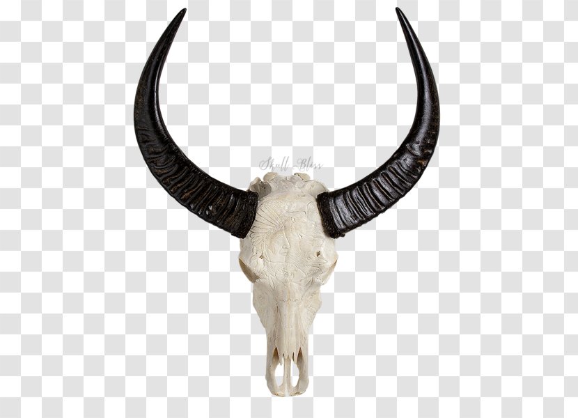 Animal Skulls Cattle Horn - Buffalo Skull Transparent PNG