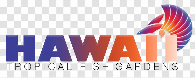 Hawaii Tropical Fish Gardens Goldfish Freshwater Pet - Brand - Hawaiian Transparent PNG