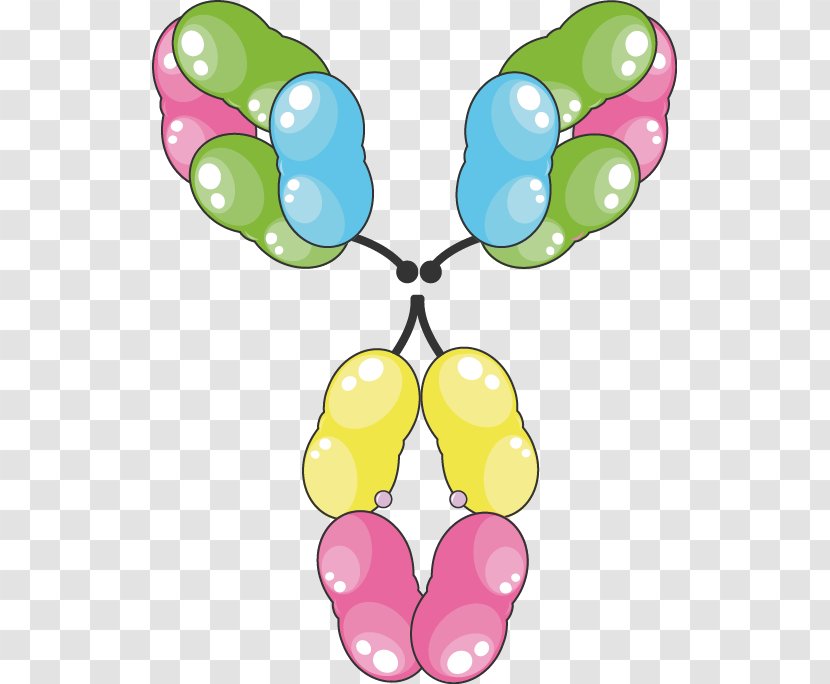 Immunoglobulin E Antibody Medicine Natural Killer Cell M - Medical History - Atropine Transparent PNG