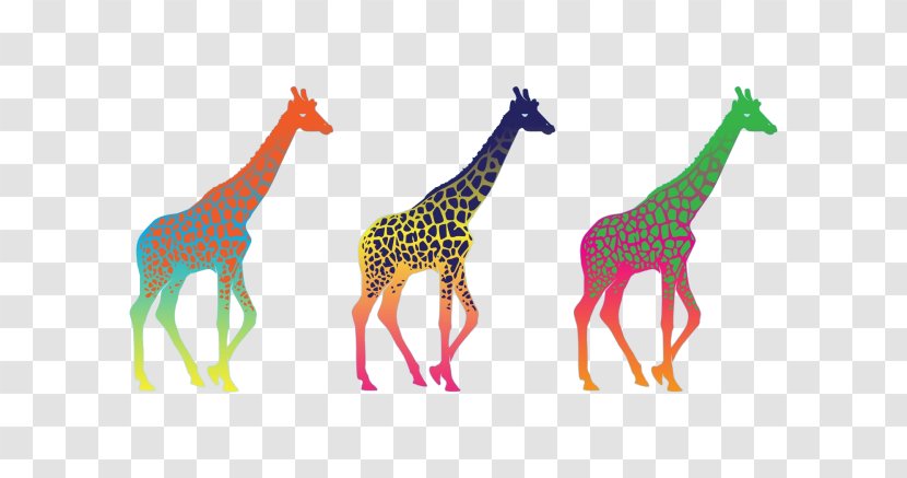 Desktop Wallpaper Giraffe Mobile Phones Computer Minimalism Transparent PNG
