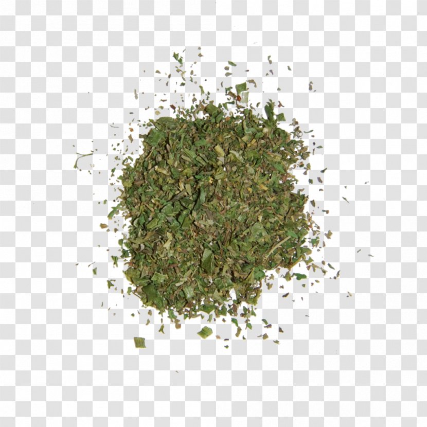 Fines Herbes Spice Seasoning Food - Thyme - Jamon Transparent PNG