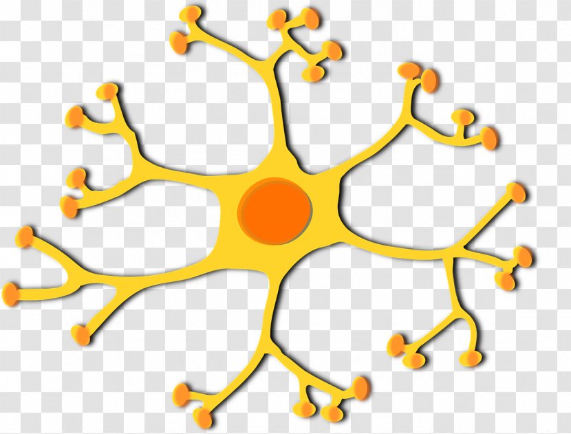 Motor Neuron Cell Clip Art - Pathway Transparent PNG