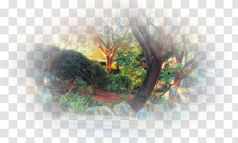 Watercolor Painting Desktop Wallpaper Sunlight - Tree Transparent PNG