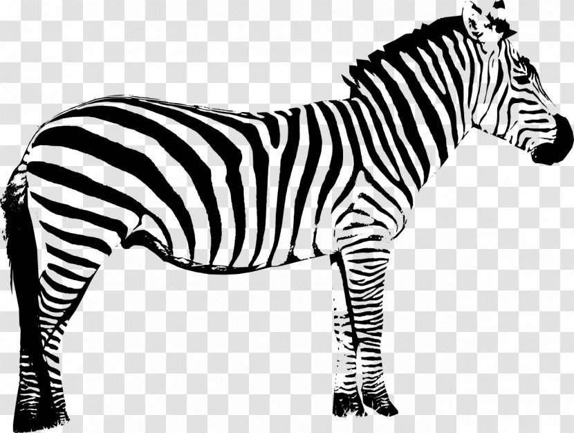 Vector Graphics Clip Art Zebra Silhouette Illustration - Terrestrial Animal Transparent PNG