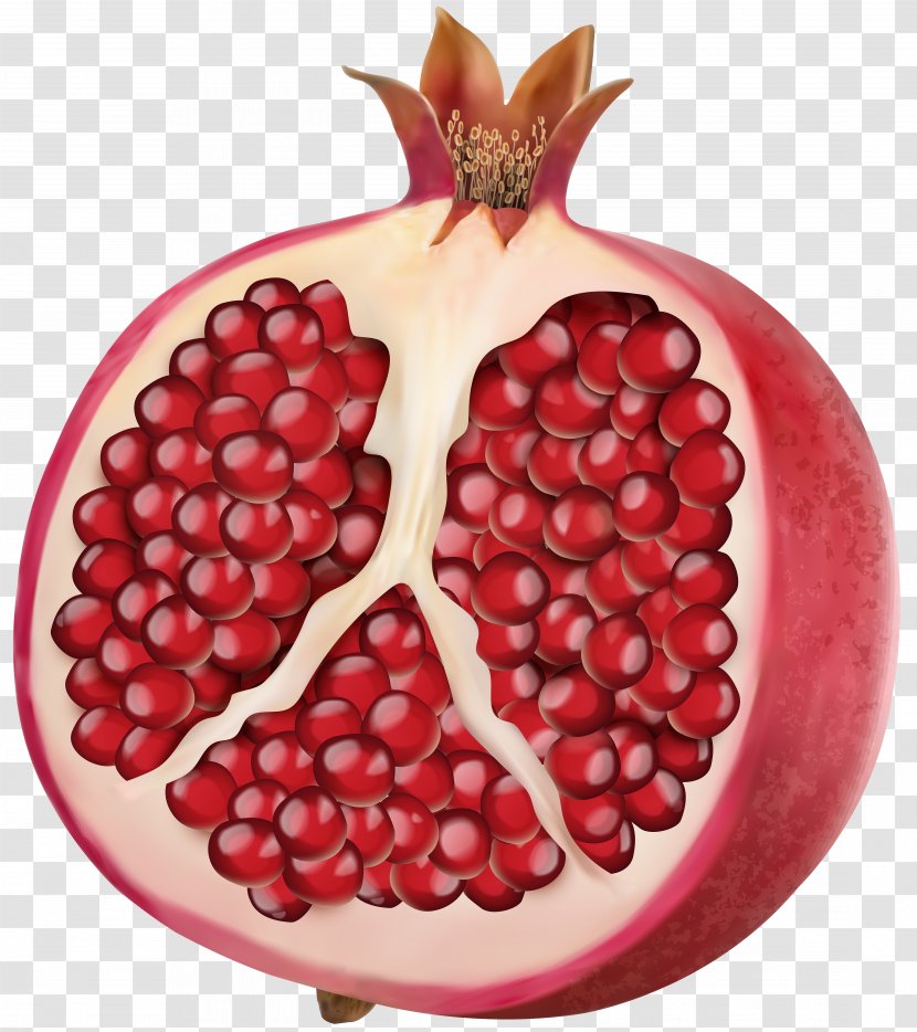 Vector Graphics Clip Art Illustration Pomegranate Stock Photography - Berry Transparent PNG