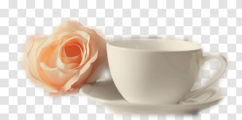 Tea Coffee Cup Garden Roses Saucer - Serveware Transparent PNG