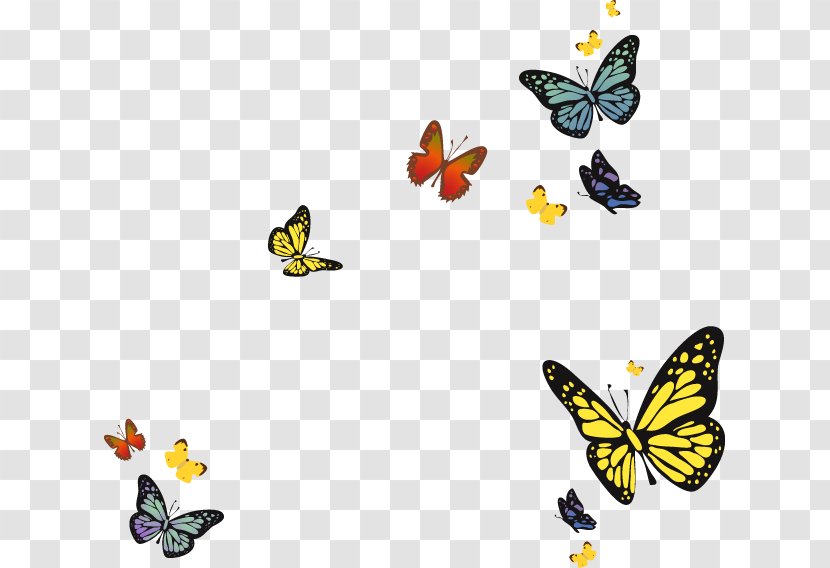 Environmental Protection Energy Conservation - Butterfly - Colorful Spring Transparent PNG