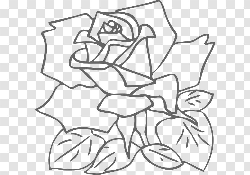 Rose Drawing Pink Clip Art - Flower - Roses Outline Transparent PNG