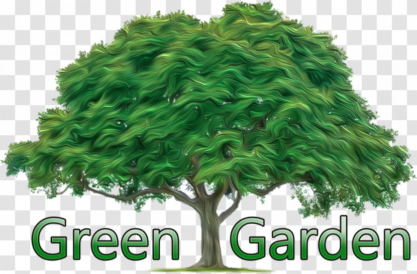 Business Tree Montreal Arborist Wood Transparent PNG