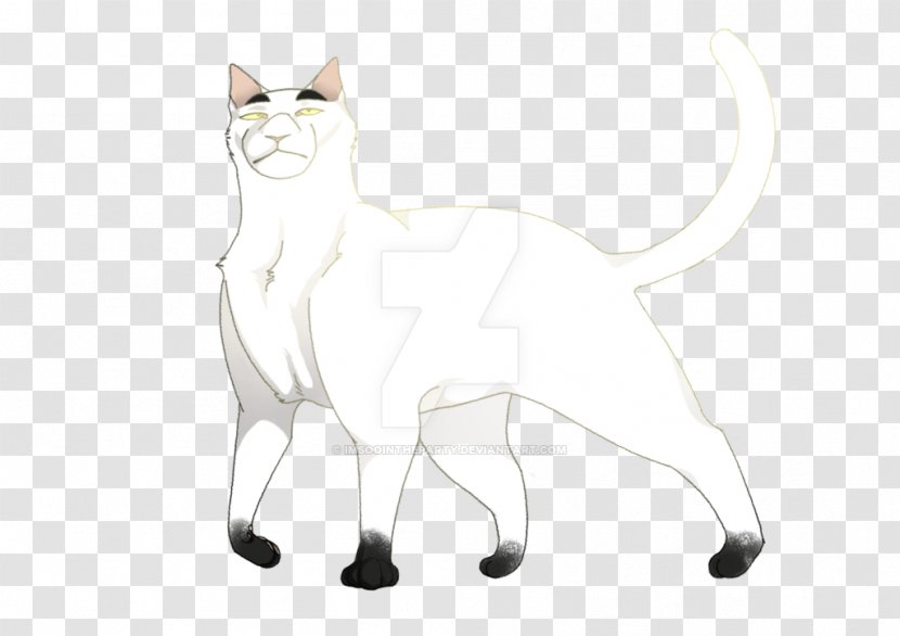 Whiskers Kitten Domestic Short-haired Cat Dog - Wing Transparent PNG