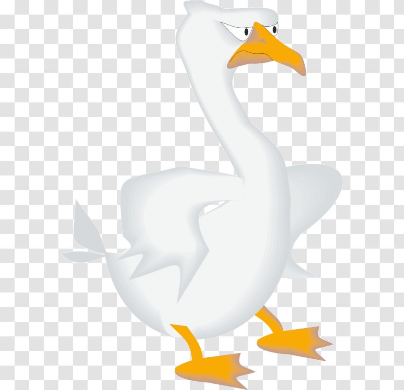 Duck Domestic Goose Bird Clip Art - Ganso Transparent PNG
