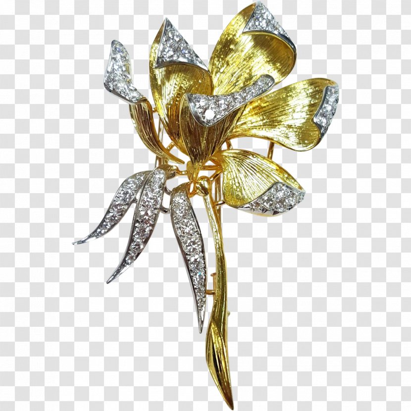 Jewellery Insect Brooch Clothing Accessories Gemstone - Body - Gold Floral Transparent PNG