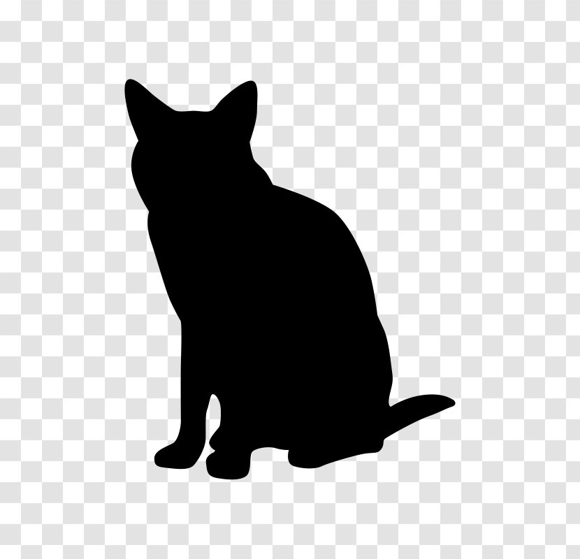 Whiskers Black Cat Feline Lower Urinary Tract Disease - Dog Like Mammal Transparent PNG