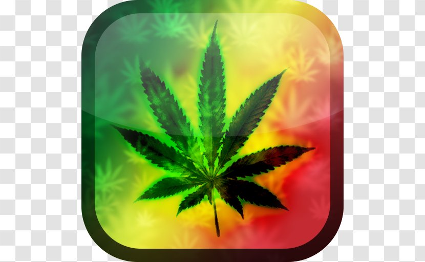 Cannabis Sativa United States Medical - Drug Transparent PNG