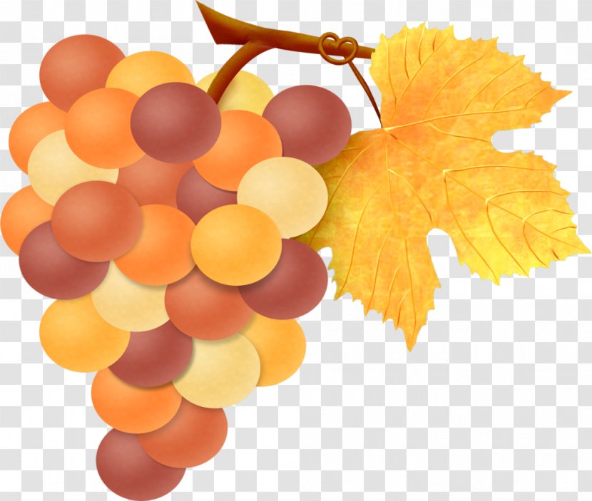 Grape Leaves Fruit - Auglis - Vector Painted Grapes Transparent PNG