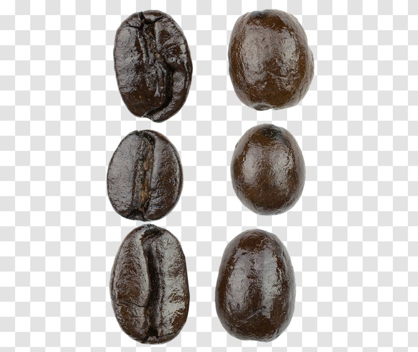 Single-origin Coffee Espresso Whole Bean - Roasting - Roaster Manual Transparent PNG