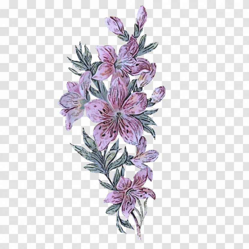 Flower Plant Flowering Lilac Petal - Clary - Perennial Wildflower Transparent PNG