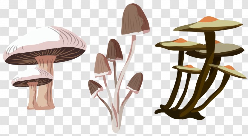 Fungus Euclidean Vector Mushroom Icon - Table Transparent PNG