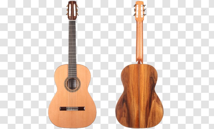 Tiple Acoustic Guitar Bass Ukulele Cuatro - Plucked String Instruments - Spanish Medieval Transparent PNG