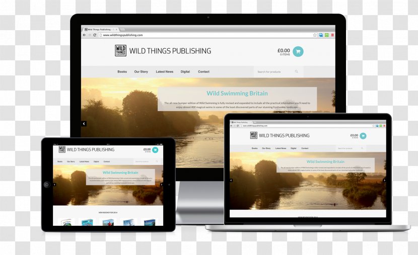 Web Design Public Relations Publishing Information Digital Marketing - Search Engine Optimization - Wild Things Transparent PNG