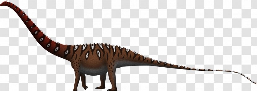 Dinheirosaurus Amphicoelias Supersaurus Brachiosaurus Allosaurus - Velociraptor - Dinosaur Transparent PNG