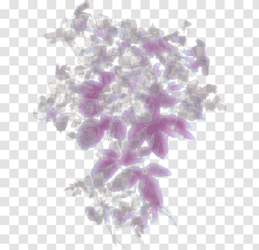 Lavender - Petal - Pink Plant Transparent PNG