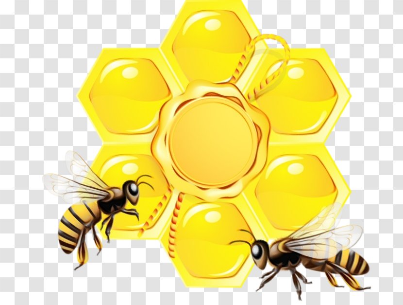 Bee Honeybee Insect Pollinator Pest - Beehive - Hornet Yellow Transparent PNG