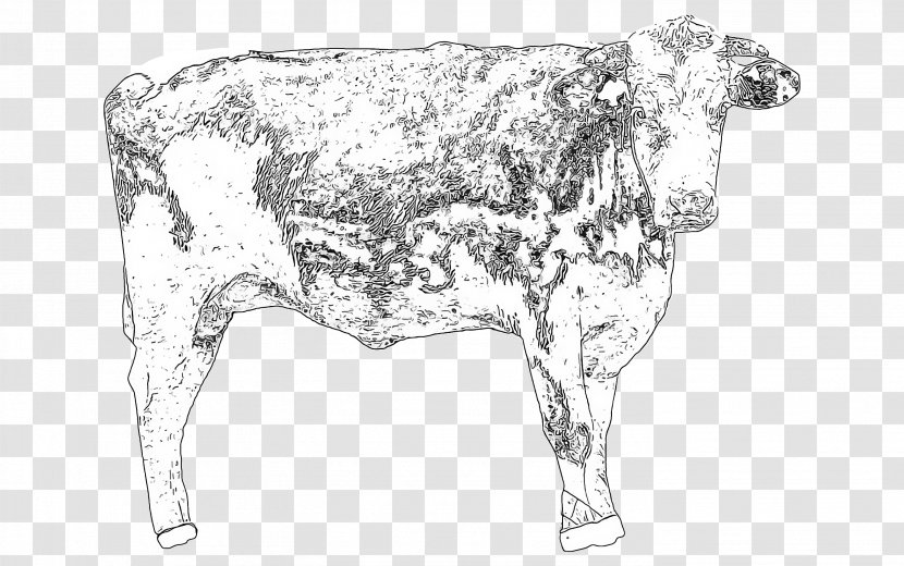 Bovine Bull Cow-goat Family Line Art Dairy Cow - Livestock Calf Transparent PNG