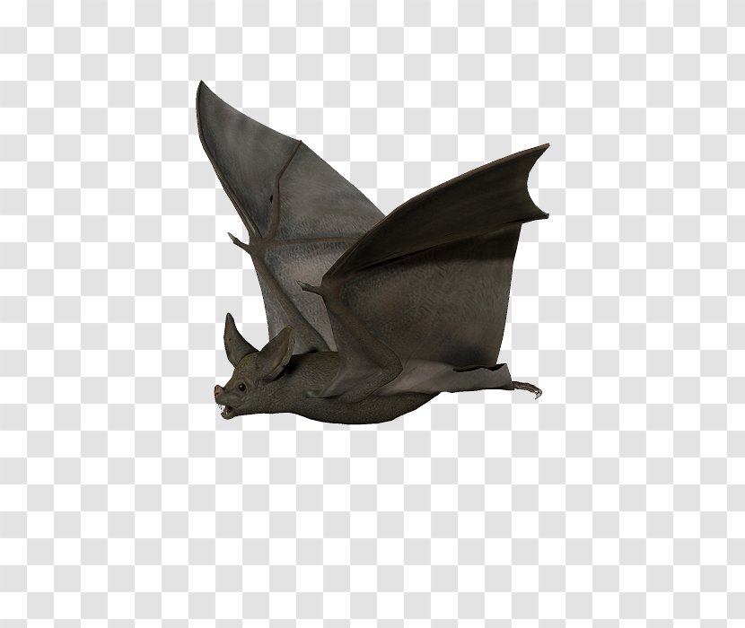 Bat Drawing - Animation Transparent PNG