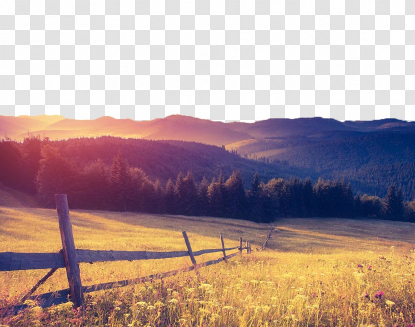 Camera Android Mobile App Selfie Photography - Horizon - Beautiful Mountain Scenery Field Transparent PNG