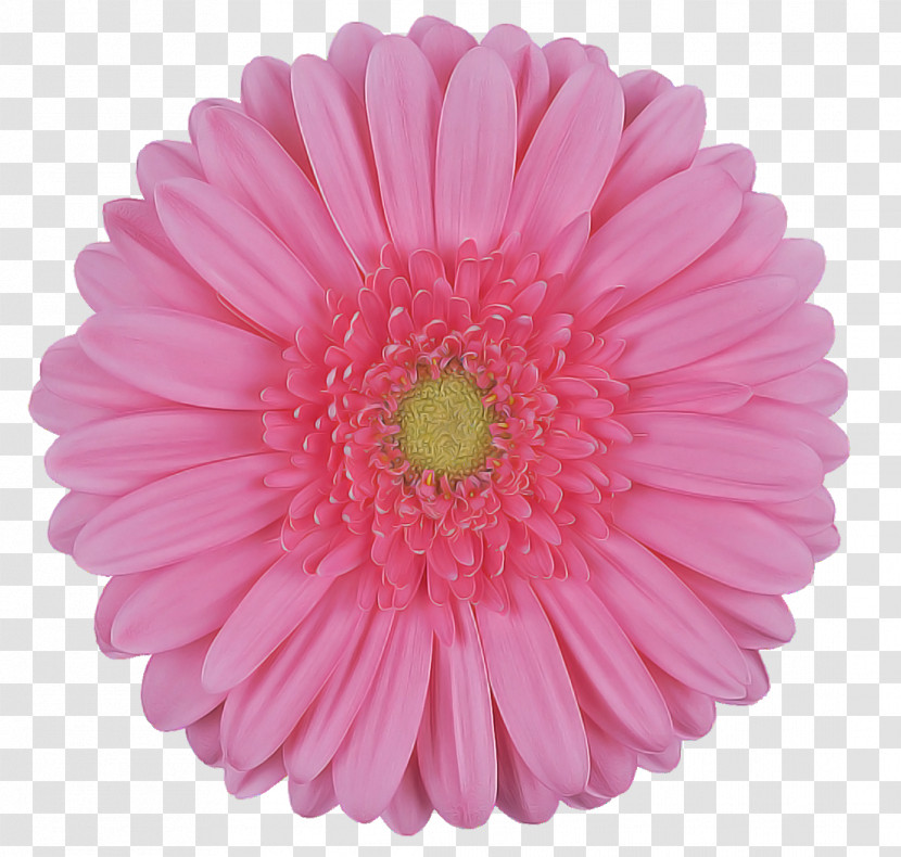 Artificial Flower Transparent PNG