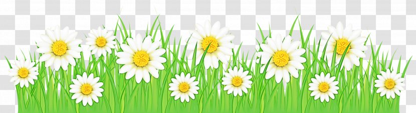 Green Grass Background - Flower - Daisy Family Oxeye Transparent PNG