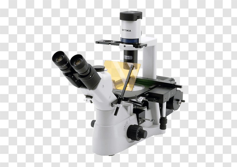 Inverted Microscope Optical Fluorescence Optics Transparent PNG