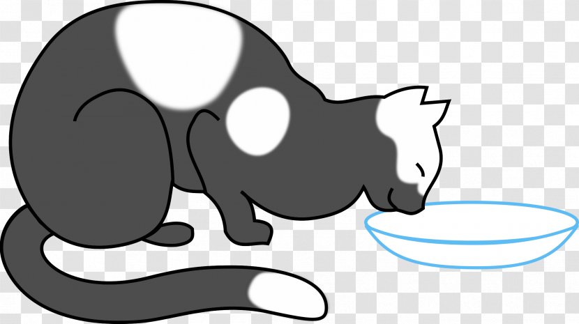 Cat Kitten Clip Art - Frame - Drinking Transparent PNG