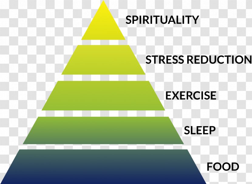 Healthy Eating Pyramid Food Physician Diet - Said It Was Transparent PNG