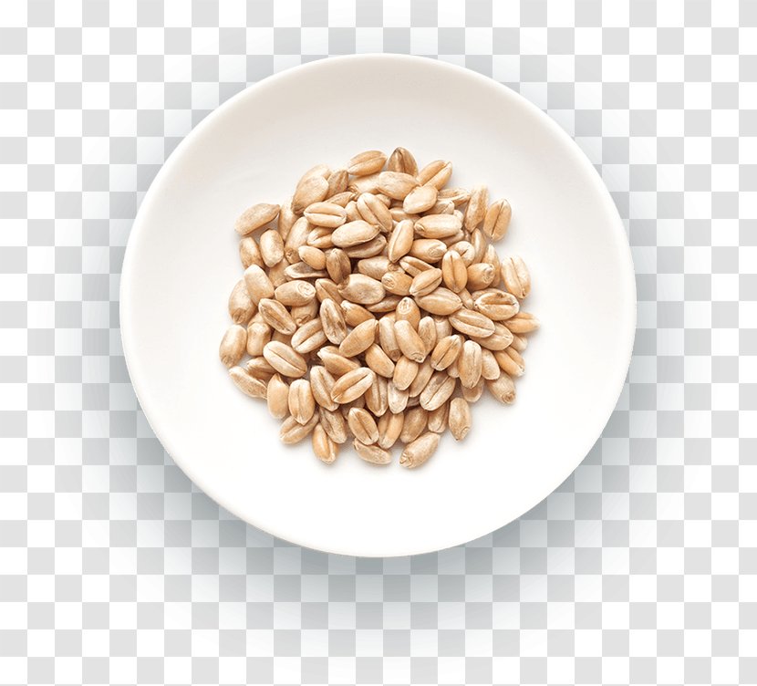 Atta Flour Wheat Cereal Gristmill - Oat Transparent PNG