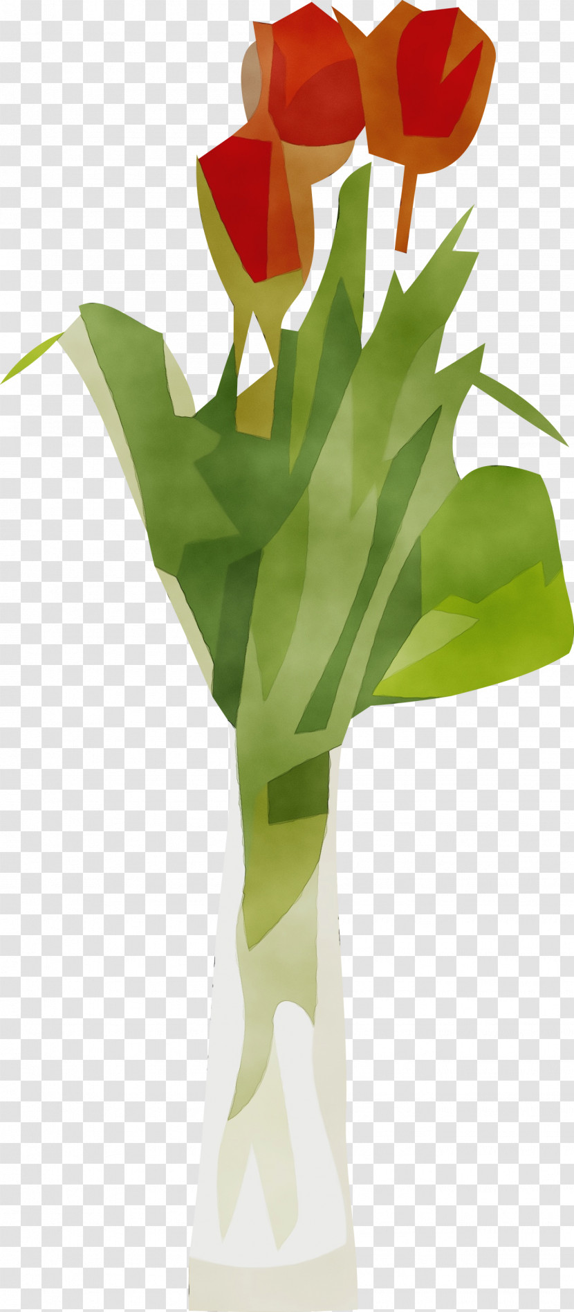 Floral Design Transparent PNG