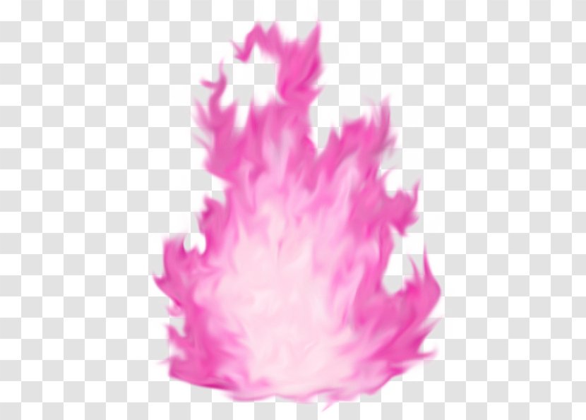 Fire Pink Flame - Flower Transparent PNG