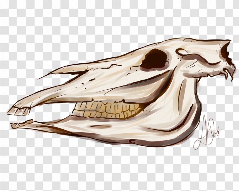 Skull Skeleton Automotive Design Car Transparent PNG