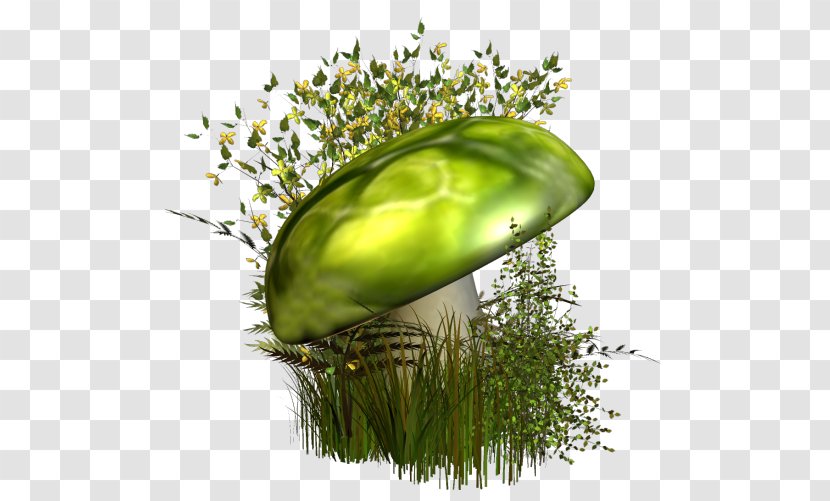 Green Mushroom Transparent PNG